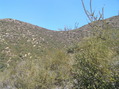 #5: View to the east from the confluence.