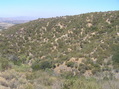 #6: View to the north from the confluence.