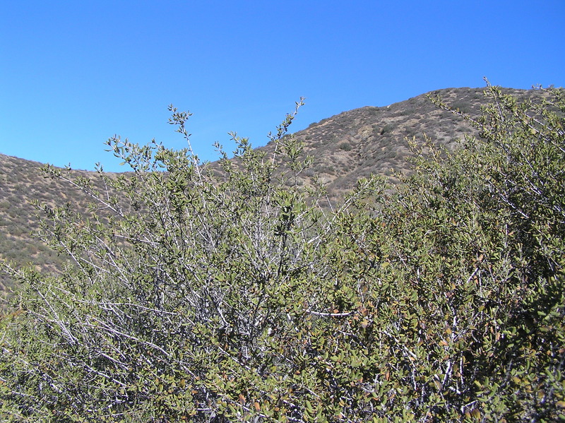 View to the east from the confluence.