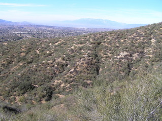 #1: View of the confluence in the foreground, looking north.