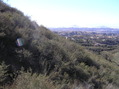 #5: View to the west from the confluence point.