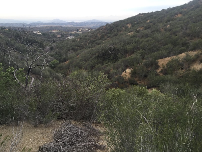 Confluence of 34 North 117 West, in the foreground, looking northwest at the great view.
