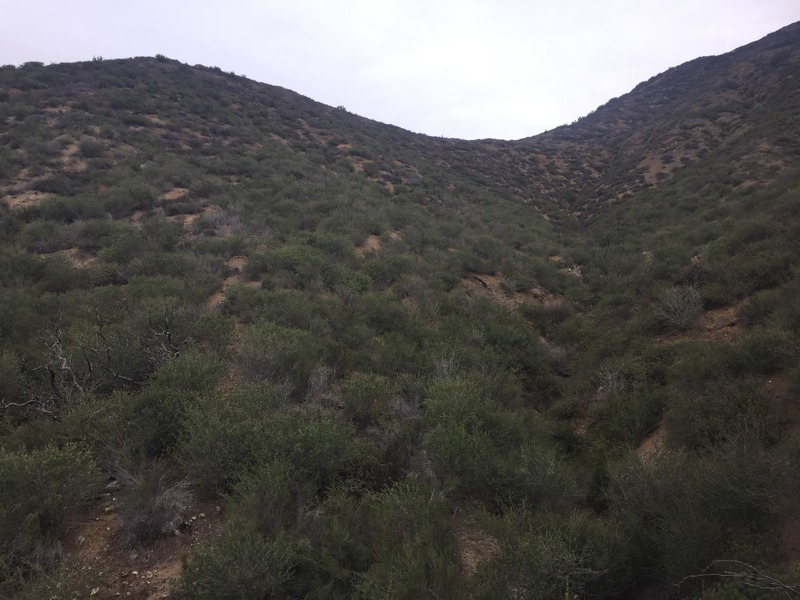 View to the east from the confluence.