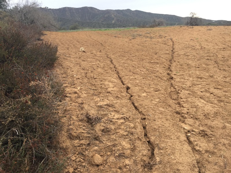 The newly scraped fields, looking toward the confluence, to the right center, up the first ridgeline.