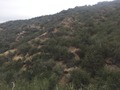 #2: View to the north from the confluence.
