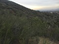 #5: View to the west from the confluence.