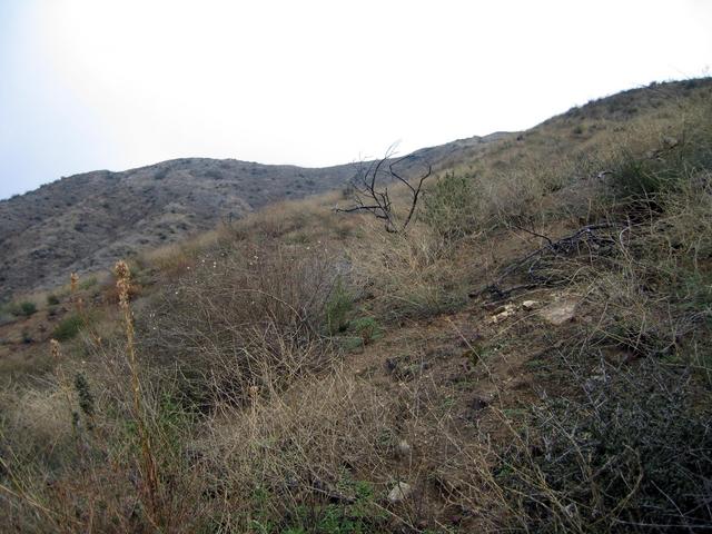 View east and up towards larger north-south ridge