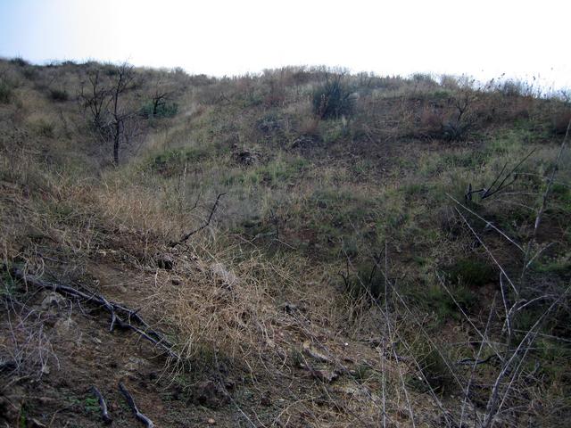 View south up the side of the ravine