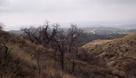 #2: Looking West out towards Calimesa