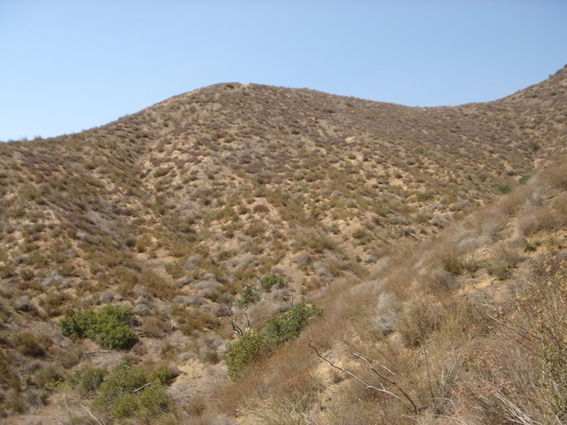 north