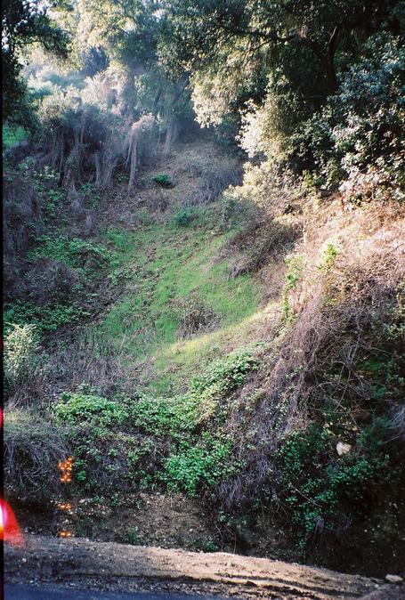 The confluence is somewhere up this overgrown hillside