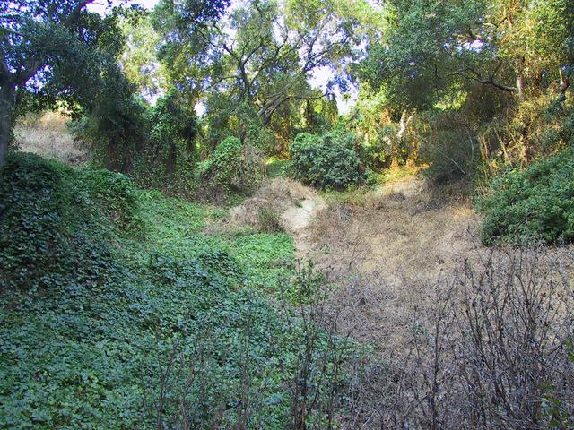 Up the hill toward the confluence.