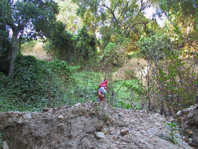 Jack heading up the hill to the confluence.