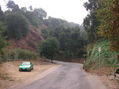 #4: Looking southward. This is South Athel Drive. On the left is Andy's car.