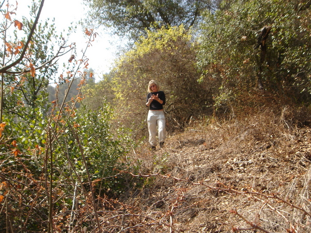 picking thorns