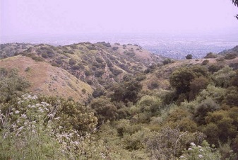 #1: Best shot of the confluence area and view west