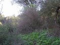 #3: View to the South