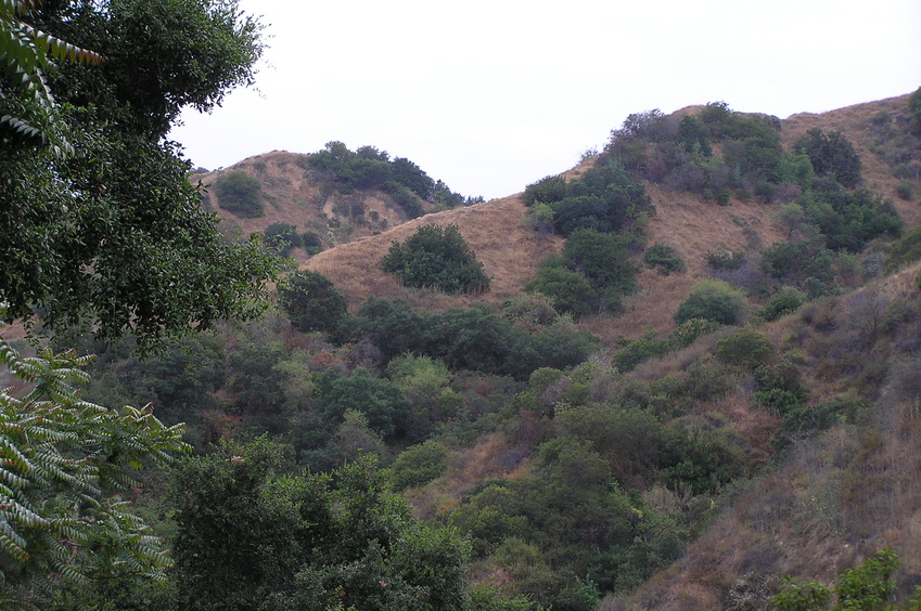 View to the north from the barricades.  