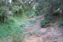 #8: The steep, loose, and thorny slope up to the confluence, looking west about 100 meters east of the confluence point.