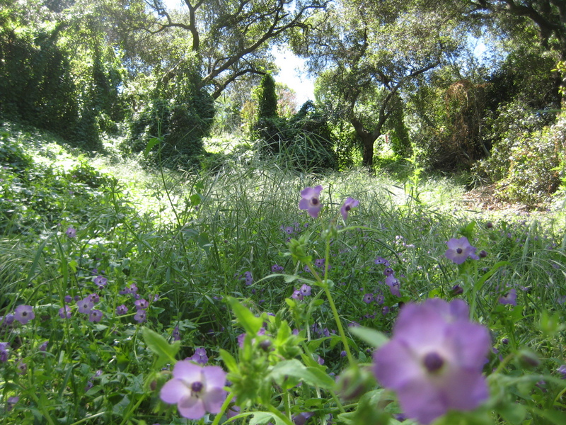 the scenic hillside leading up to confluence