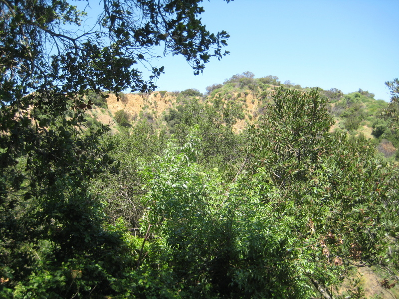 a view from confluence location looking west