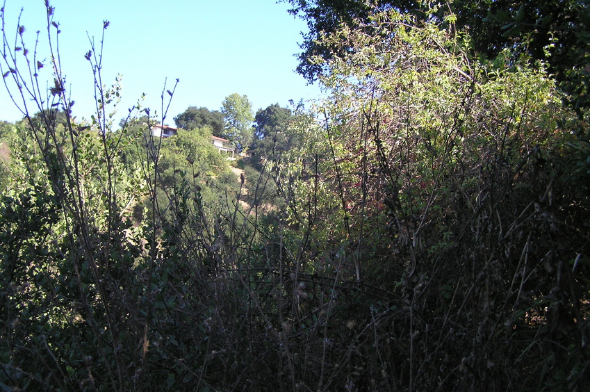 View to the southeast from the confluence.