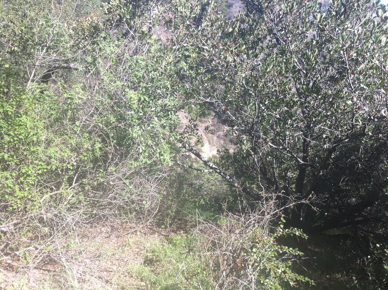 Looking north-northeast and down from the confluence site.