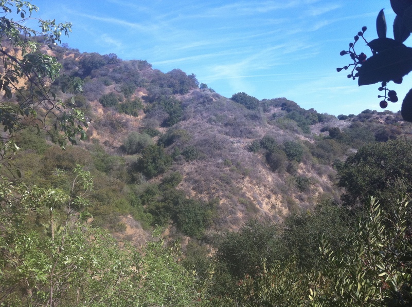 Looking northeast from the confluence.