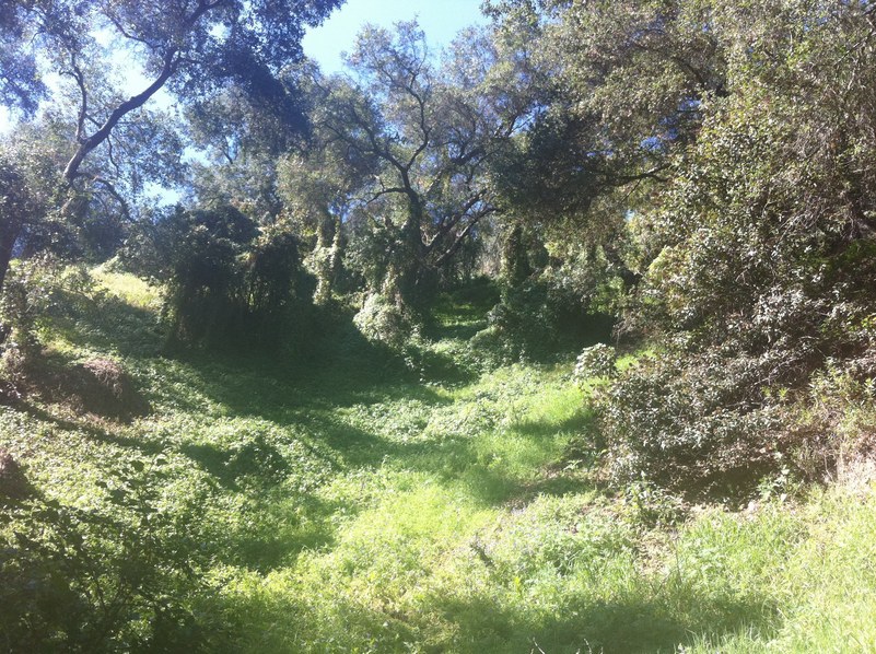 The Approach Slope as it appeared on the day of the Vernal Equinox.