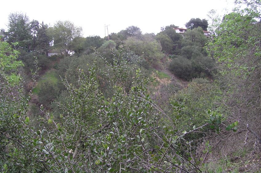 Confluence of 34 North 118 West in the foreground, looking southeast.