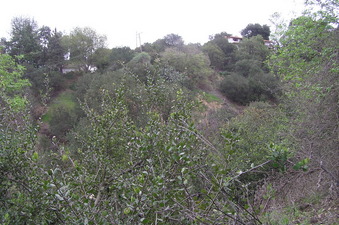 #1: Confluence of 34 North 118 West in the foreground, looking southeast.
