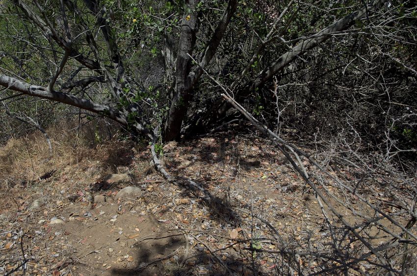 The confluence point lies atop a steep, scrub-covered hill