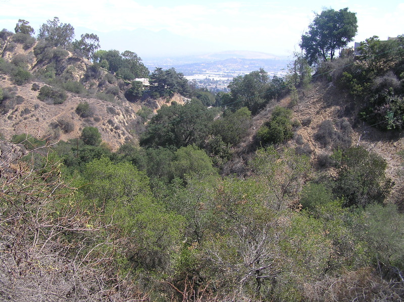 View to the east-northeast from the confluence.