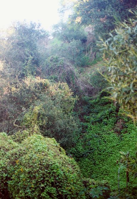 The confluence is on the ridge above this steep slope.