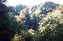 #3: Looking up Oak Canyon with Oak Canyon Drive below.