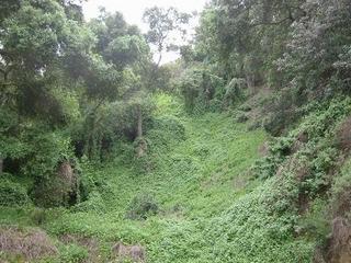 #1: The confluence is located near the top of the photo