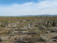 #2: East view: Sacramento Mountains, with Hualapai Mountain (AZ) way in the background