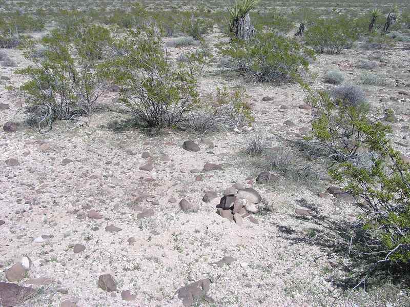 The confluence point lies among thinly-spaced sagebrush (with occasional cactus)