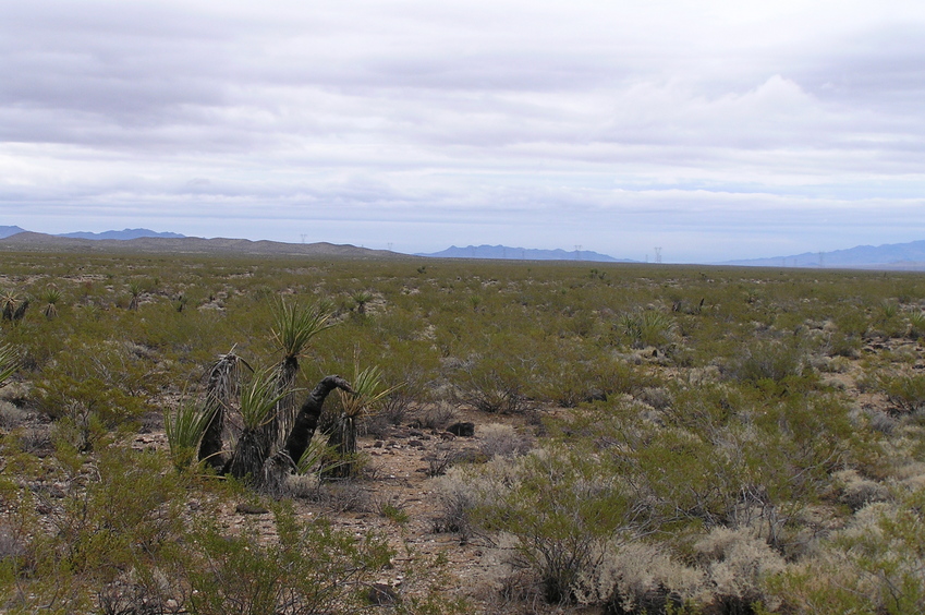 View to the east showing the powerlines in the far distance.