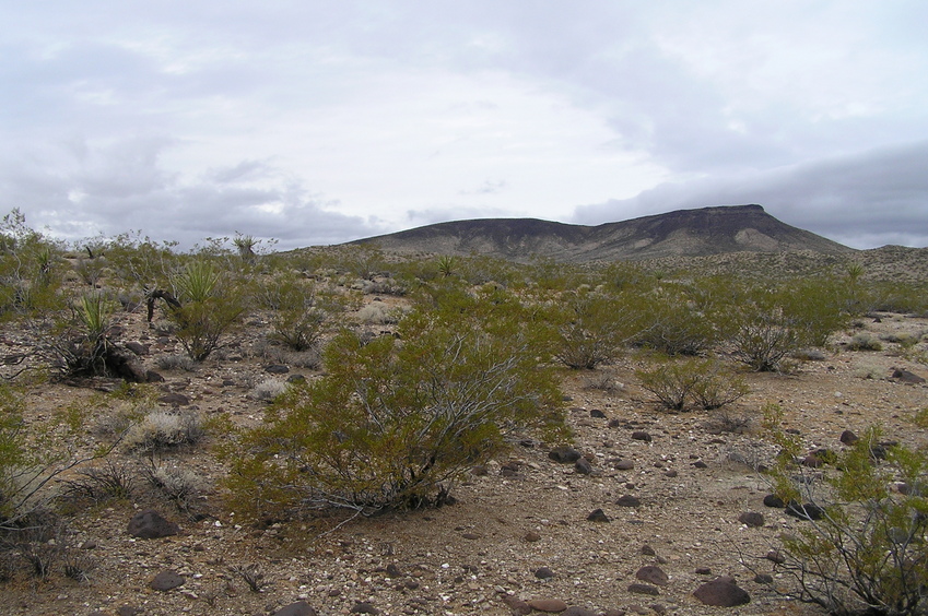 View to the west from the confluence.