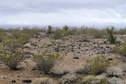 #5: View to the south from the confluence.