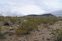 #6: View to the west from the confluence.