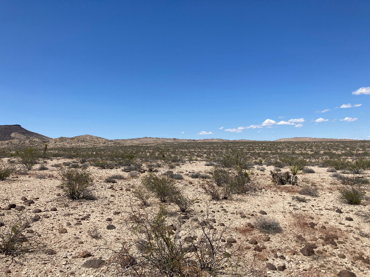 Looking north from the confluence