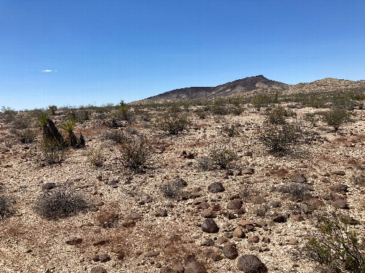 #1: Looking northwest at 35N 115W, located in the middle of the photo