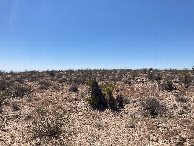 #5: Looking west