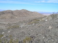 #3: View to the north from the confluence.