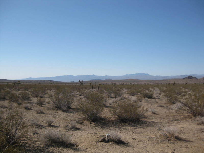 View of the confluence from the north