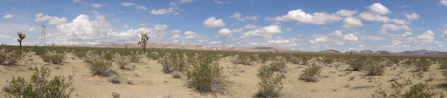 Panoramic view from the point