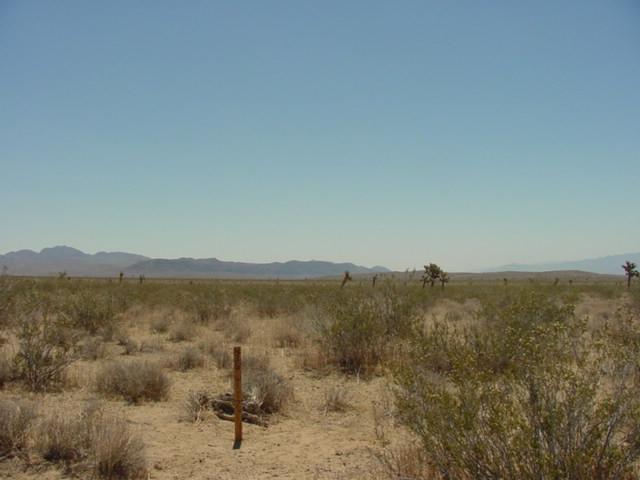 East toward the Calico Mountains