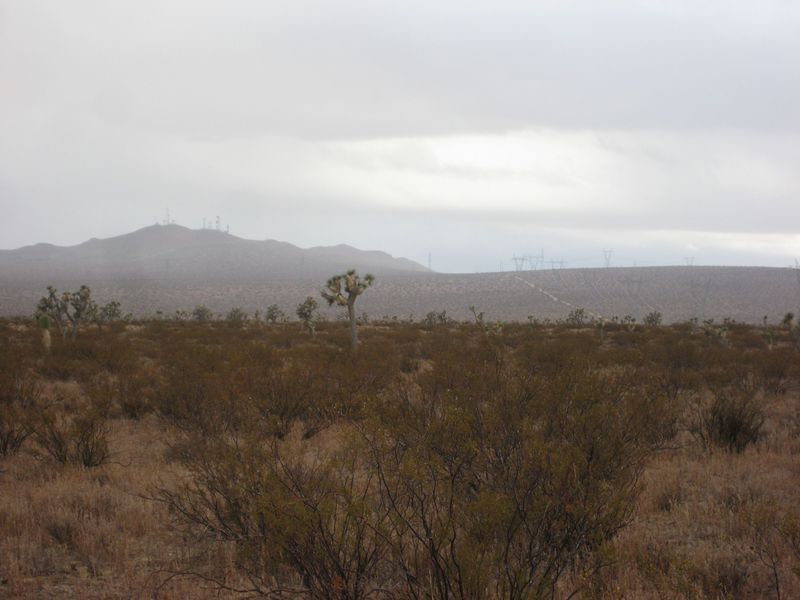 Looking south